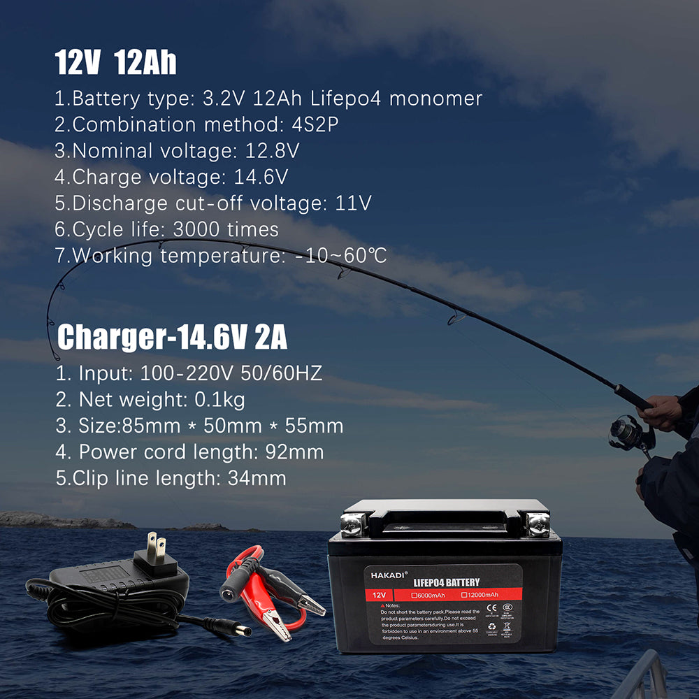 Selian 12V 12Ah LiFePO4 Lithium Rechargeable Battery Pack Built in BMS for Power Electrical Solar System Home Energy Storage