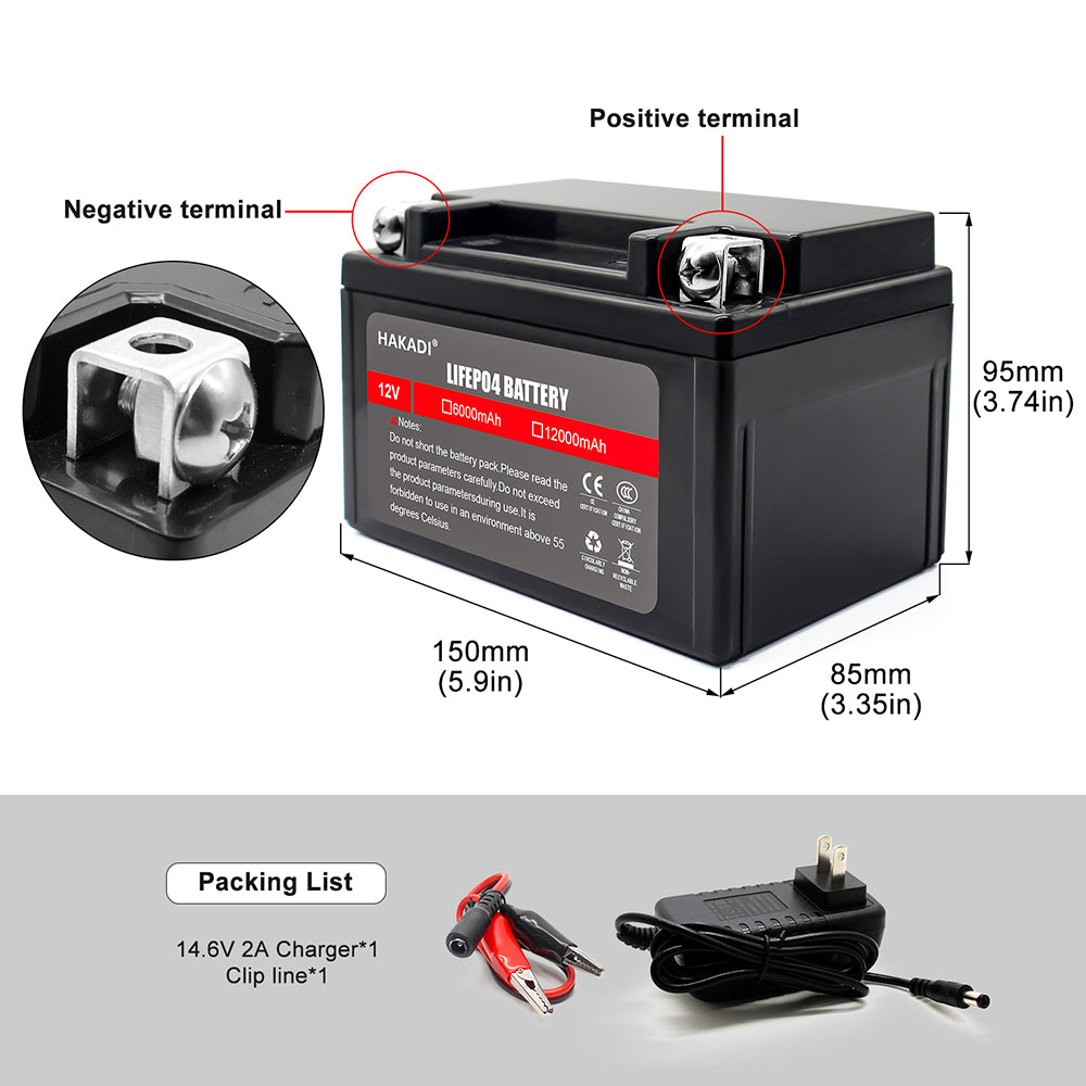 Selian 12V 12Ah LiFePO4 Lithium Rechargeable Battery Pack Built in BMS for Power Electrical Solar System Home Energy Storage