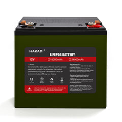 Selian 12V 24Ah LiFePO4 Lithium Rechargeable Battery Pack Built in BMS for Power Electrical Solar System Home Energy Storage