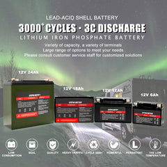 Selianlifepo4 12V 18Ah Rechargeable Lifepo4 Battery Pack With Build-in BMS For Energy Storage Solar System