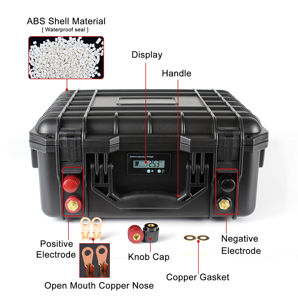 Selian 24V 100Ah Rechargeable Lifepo4 Battery Pack Build-in BMS With 10A Charger RU Stock Fast Delivery